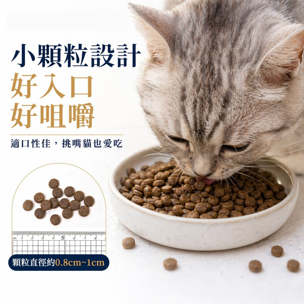 澳洲 荒野饗宴 無穀貓糧 4.4磅 20磅 珍味牛肉 海陸大餐 無穀貓 主食糧 貓乾糧 貓主食 貓飼料『WANG』-圖片-3
