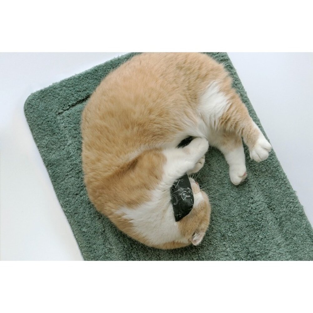 CATWANT 貓咪旺農場 木天蓼填充貓玩具|兔子踢 貓抱枕 100%貓薄荷 貓玩具『WANG』-圖片-2