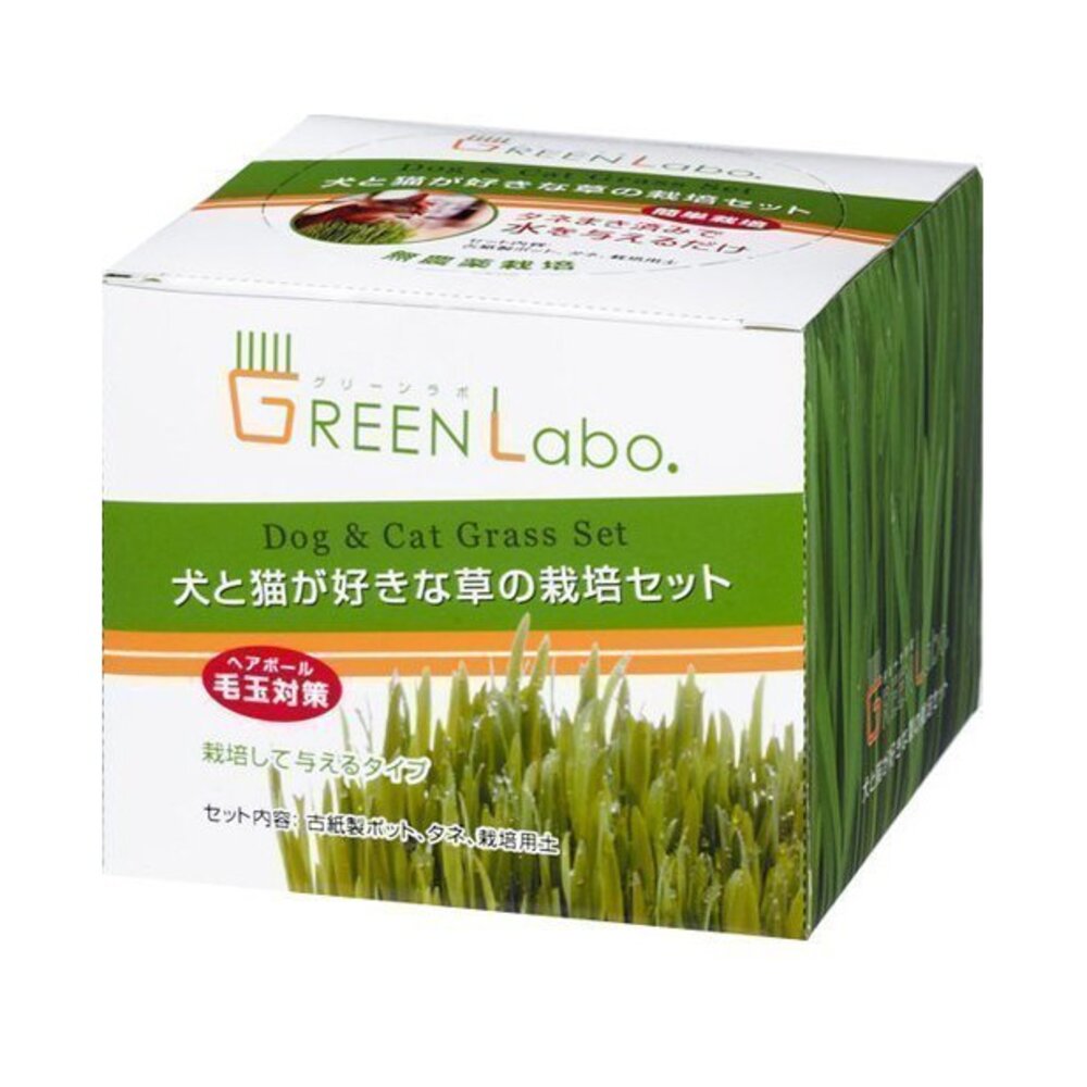 日本GreenLabo 燕麥盆栽組DIY貓草盆/燕麥貓草種子包 懶人包易種包『WANG』-圖片-1