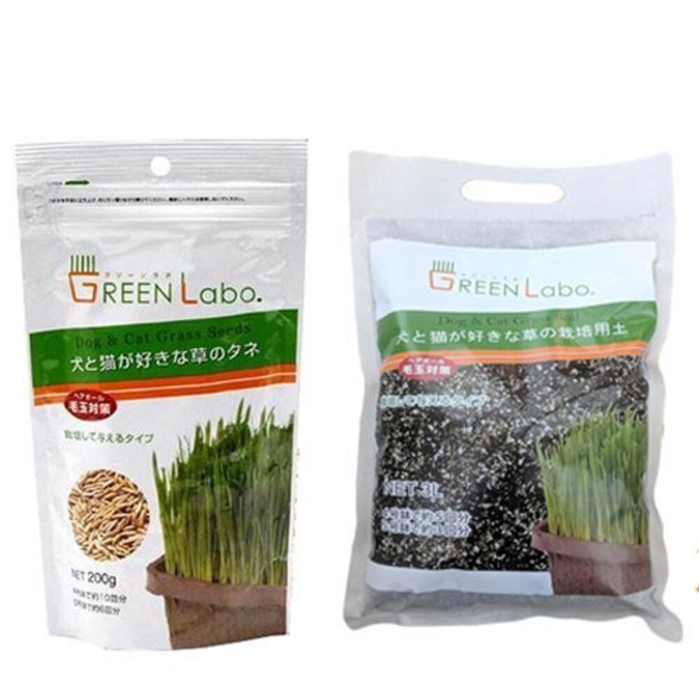 日本GreenLabo 燕麥盆栽組DIY貓草盆/燕麥貓草種子包 懶人包易種包『WANG』-圖片-4