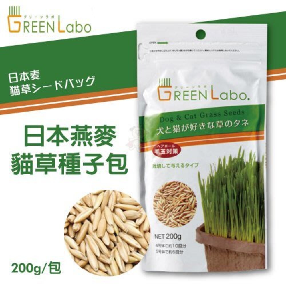 日本GreenLabo 燕麥盆栽組DIY貓草盆/燕麥貓草種子包 懶人包易種包『WANG』-圖片-5