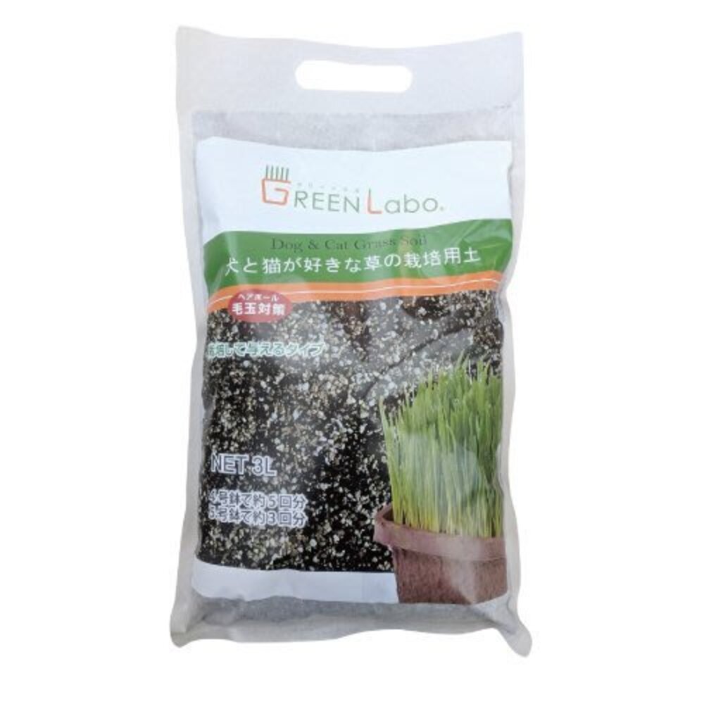 日本GreenLabo 燕麥盆栽組DIY貓草盆/燕麥貓草種子包 懶人包易種包『WANG』-圖片-8