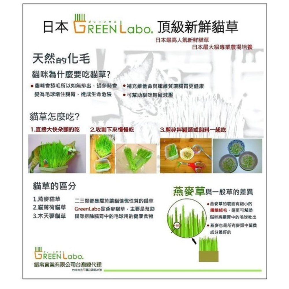 日本GreenLabo 燕麥盆栽組DIY貓草盆/燕麥貓草種子包 懶人包易種包『WANG』-圖片-9