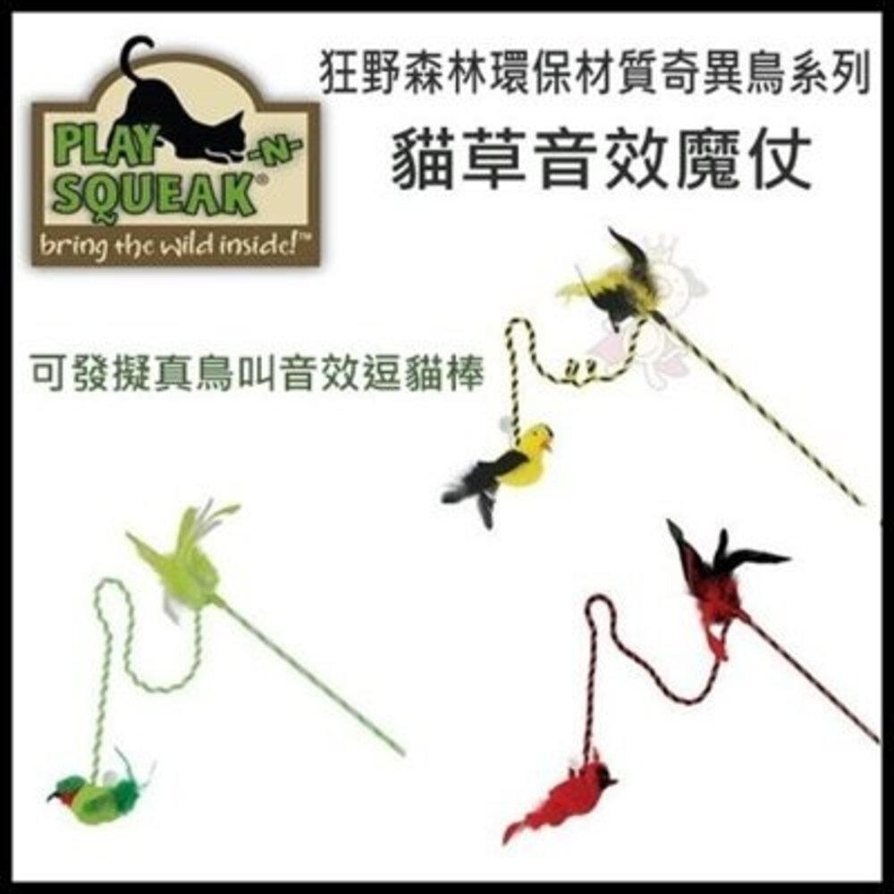 Play-N-Squeak 狂野森林 環保材質奇異鳥(發擬真鳥叫) 皇室鳥類 貓草音效魔仗 逗貓棒『WANG』-圖片-2