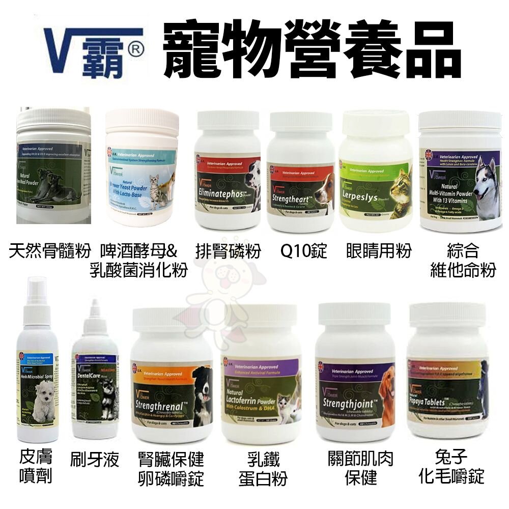 V Power V霸 兔子化毛嚼錠 乳酸菌 乳鐵蛋白粉 關節保健 刷牙液 眼睛保健『WANG』-圖片-1