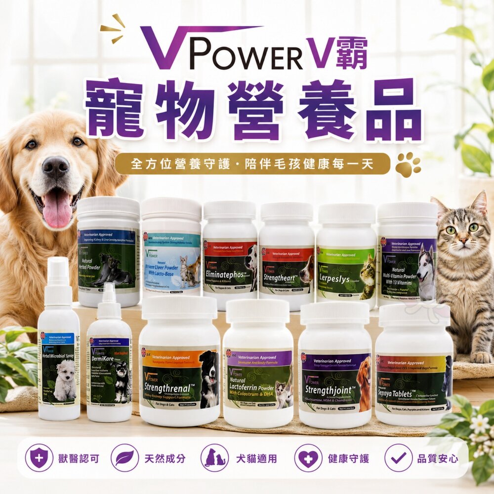 38597221-V Power V霸  兔子化毛嚼錠 乳酸菌 乳鐵蛋白粉 關節保健 刷牙液 眼睛保健『WANG』