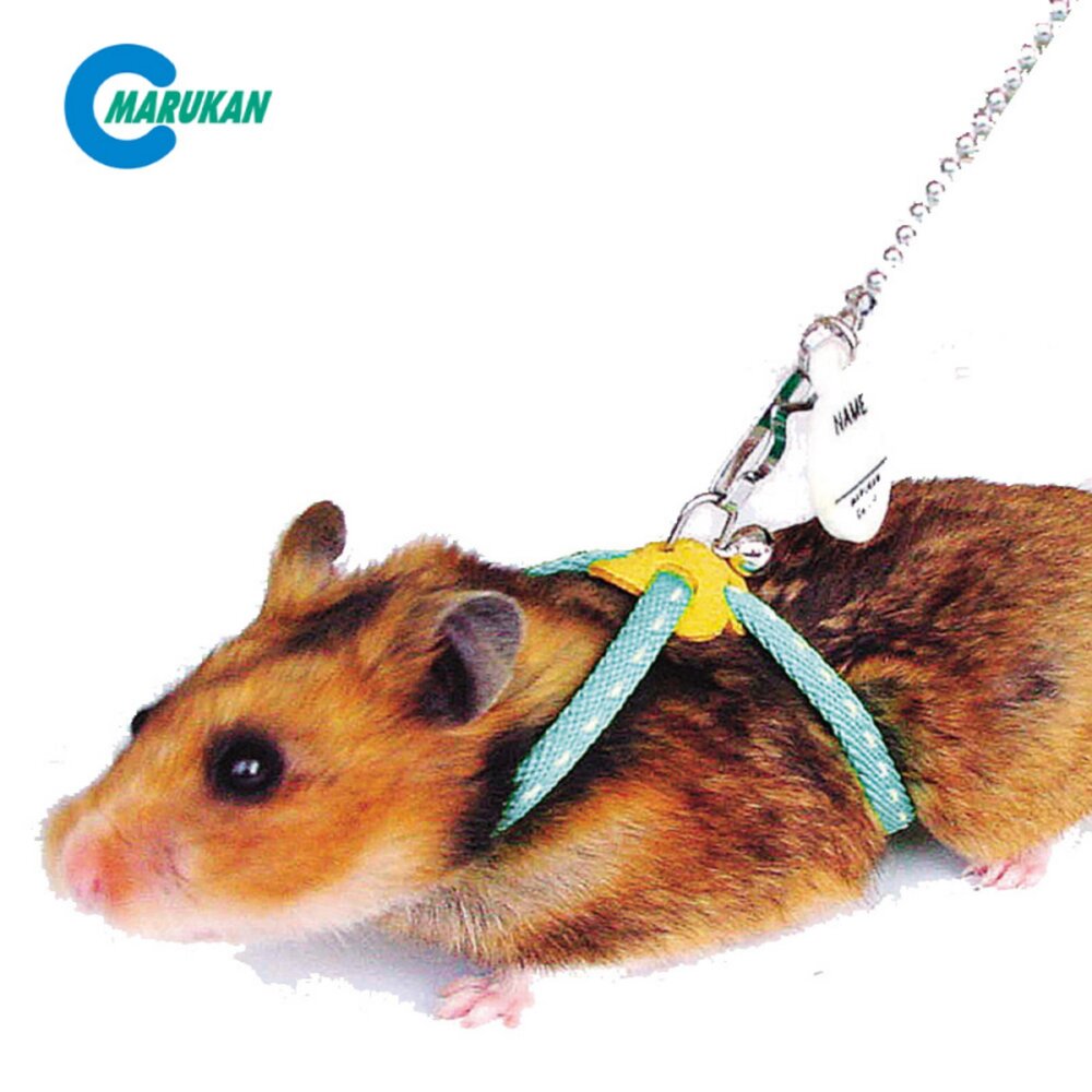 Marukan 小動物飲水瓶 運動滾球 靜音滾輪 鼠餐碗 小動物指甲剪 護膚針梳 洗毛刷 外出牽繩 消暑墊『WANG』-圖片-5