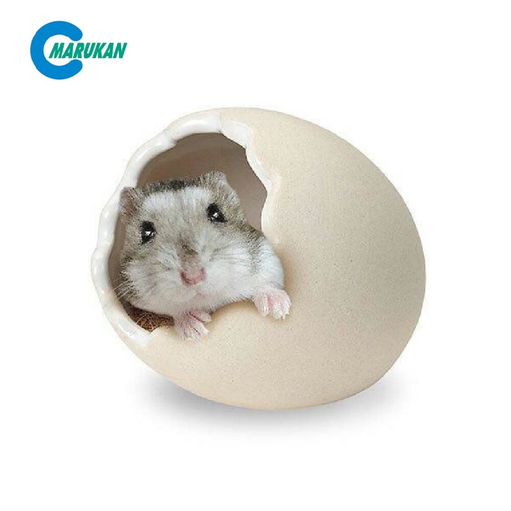 Marukan 小動物飲水瓶 運動滾球 靜音滾輪 鼠餐碗 小動物指甲剪 護膚針梳 洗毛刷 外出牽繩 消暑墊『WANG』-圖片-6
