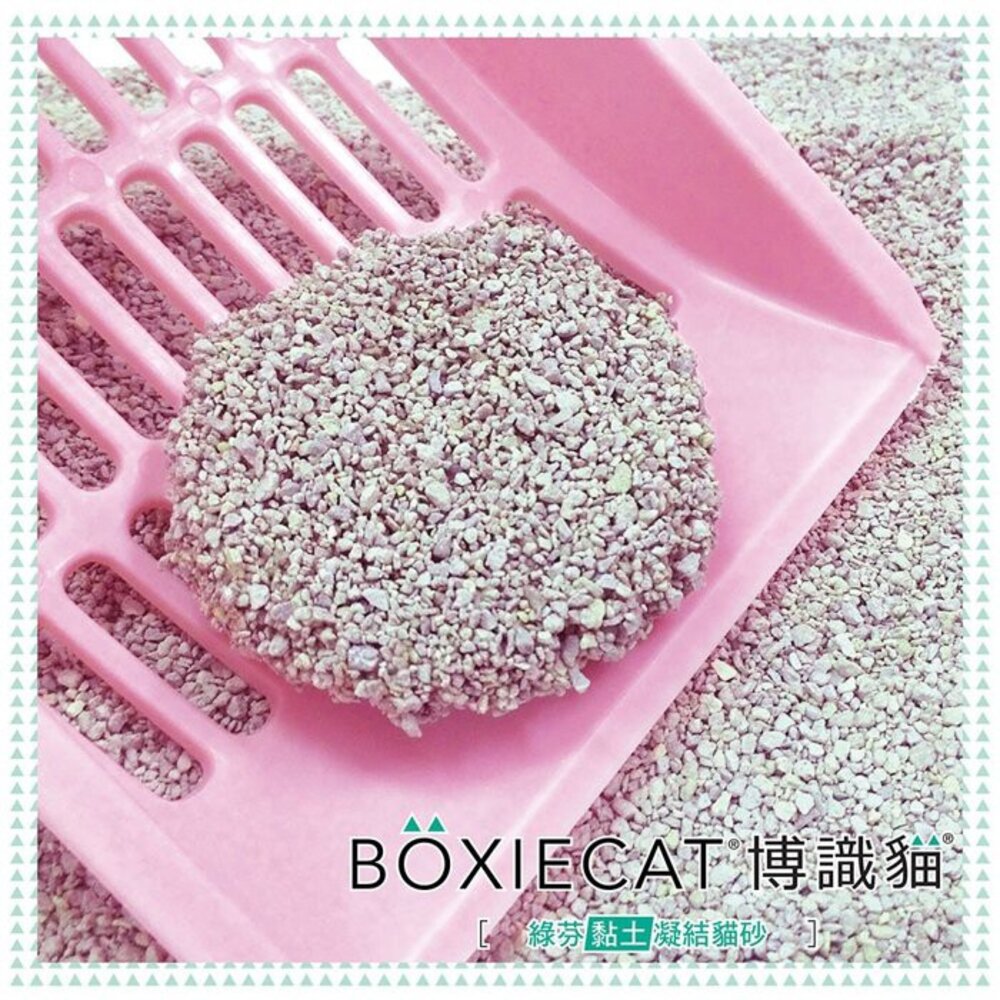 BOXIECAT 博識貓 貓砂【三包組免運】黏土凝結貓砂 Air超植砂 專利凝結生物砂『WANG』-圖片-6