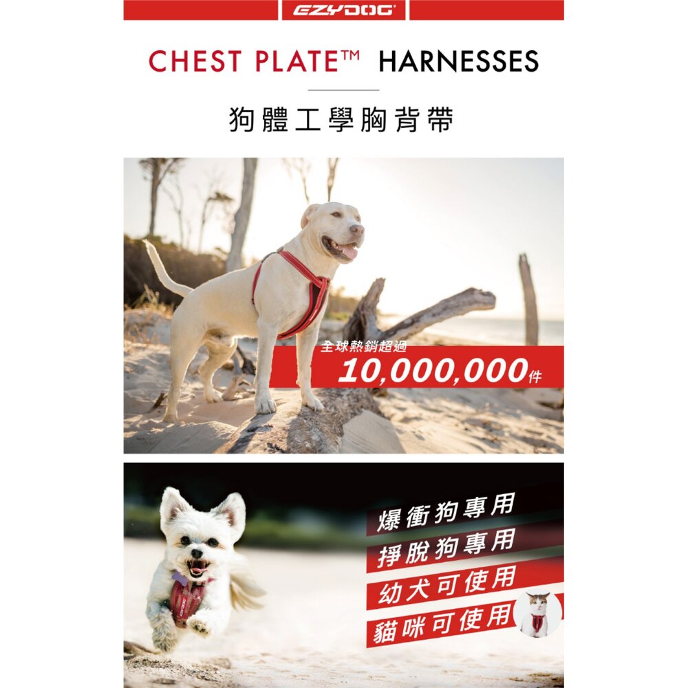 EZYDOG 狗體工學胸背帶 XXS-XL 犬用 胸背 狗胸背 胸背帶 外出胸背 寵物胸背帶『WANG』-圖片-2
