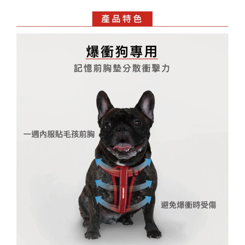 EZYDOG 狗體工學胸背帶 XXS-XL 犬用 胸背 狗胸背 胸背帶 外出胸背 寵物胸背帶『WANG』-圖片-3