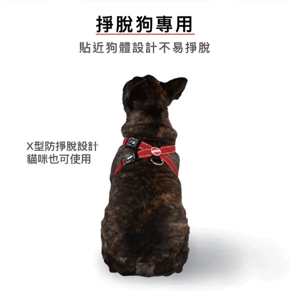 EZYDOG 狗體工學胸背帶 XXS-XL 犬用 胸背 狗胸背 胸背帶 外出胸背 寵物胸背帶『WANG』-圖片-4