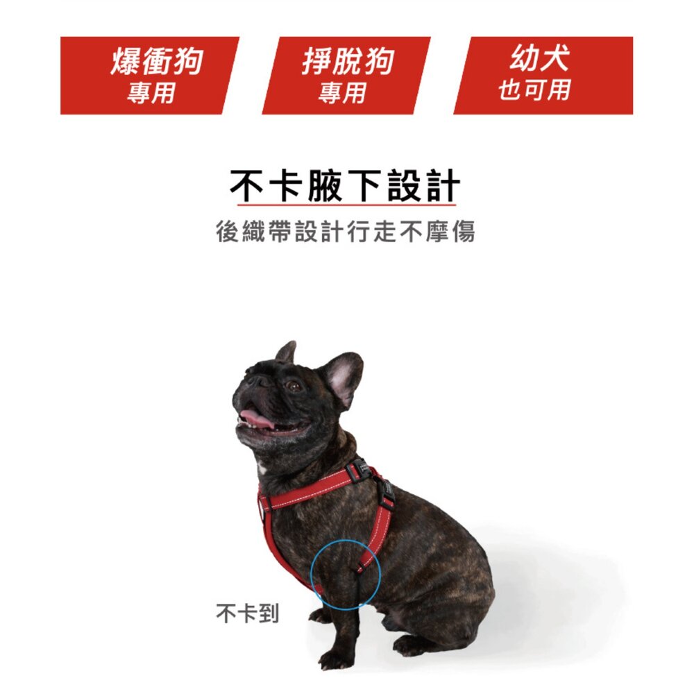 EZYDOG 狗體工學胸背帶 XXS-XL 犬用 胸背 狗胸背 胸背帶 外出胸背 寵物胸背帶『WANG』-圖片-6