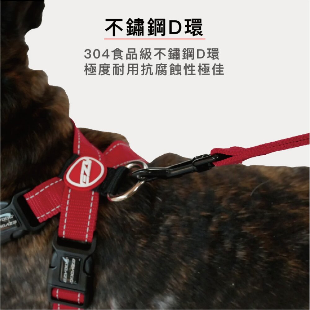 EZYDOG 狗體工學胸背帶 XXS-XL 犬用 胸背 狗胸背 胸背帶 外出胸背 寵物胸背帶『WANG』-圖片-7