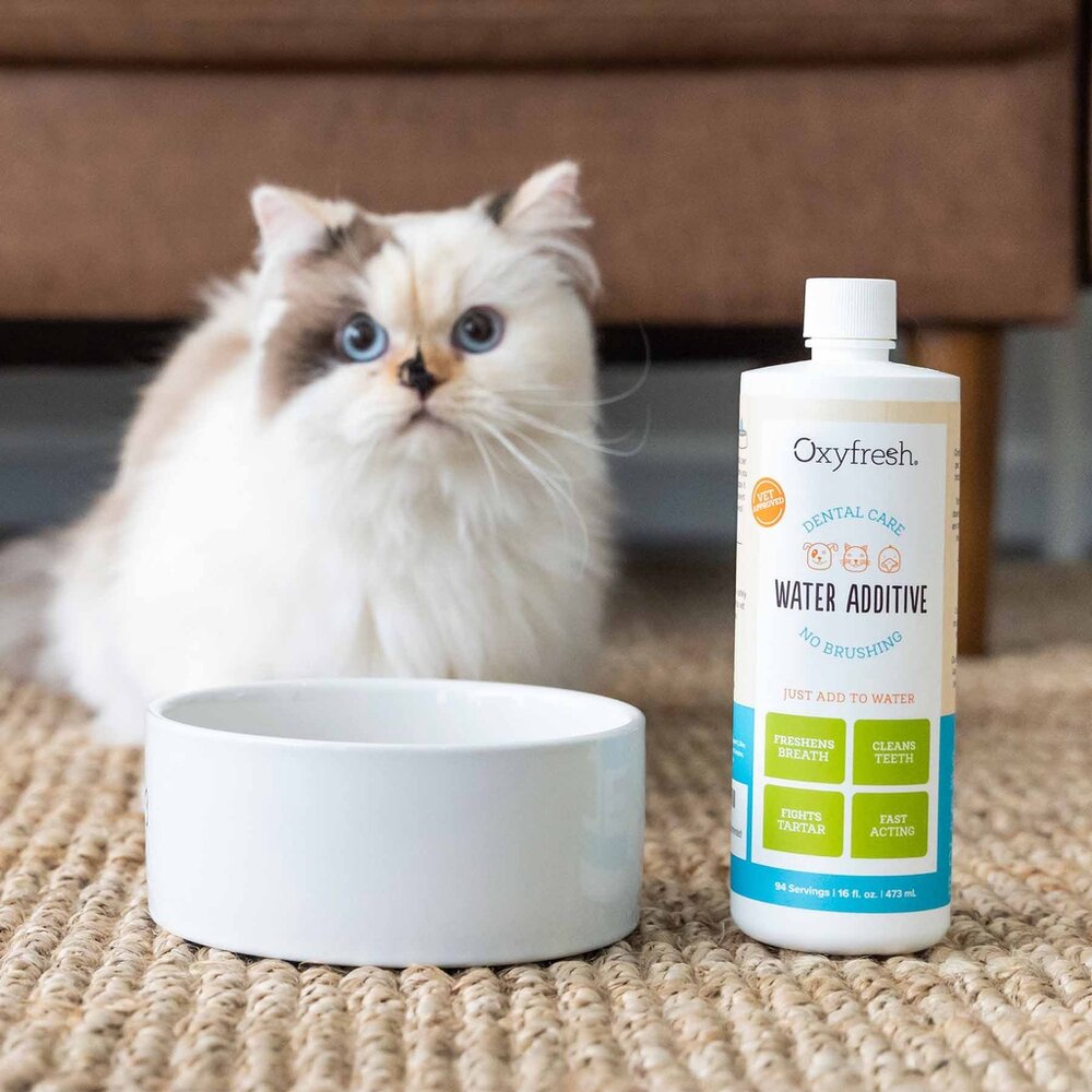 Oxyfresh 新鮮氧 歐克新 寵物清潔系列 潔牙凝膠 潔牙噴霧 潔牙水 潔耳液『WANG』-圖片-2