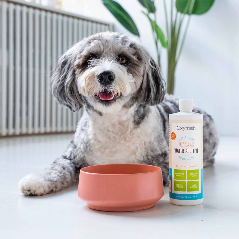 Oxyfresh 新鮮氧 歐克新 寵物清潔系列 潔牙凝膠 潔牙噴霧 潔牙水 潔耳液『WANG』-圖片-4