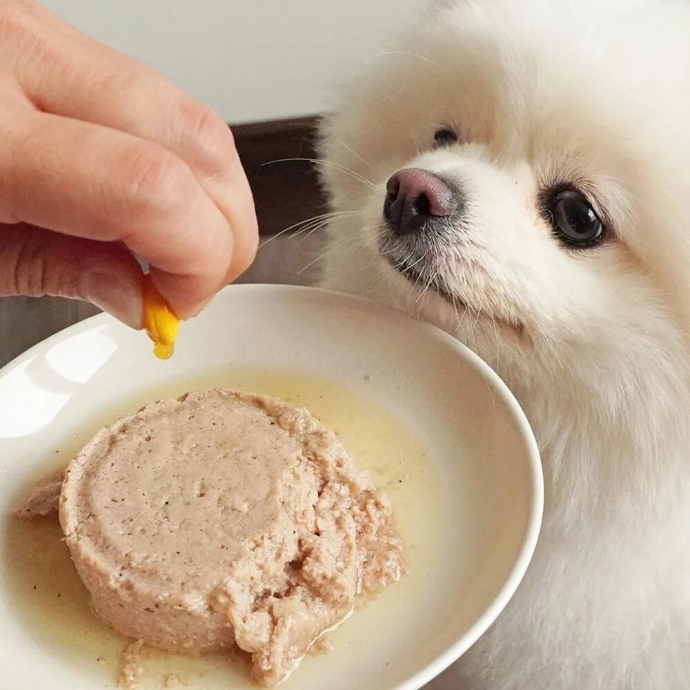 LitoMon 怪獸部落 犬貓營養品 牛離Q 每日酵素 護膚魚油 益菌排毛粉 綜合營養補給 寵物保健品『WANG』-圖片-4