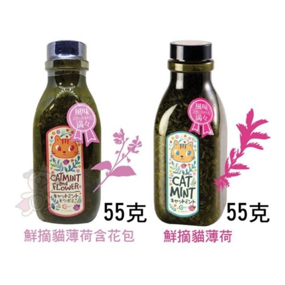 486689550-貓公爵 鮮摘醇品貓薄荷 大罐55克  C-S-477鮮摘貓薄荷/ S-480含花苞貓薄荷『WANG』