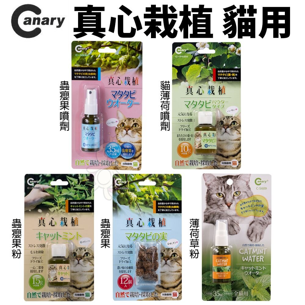 Canary 真心栽植 蟲癭果粉 貓的大好物 蟲癭果噴劑 貓薄荷噴劑 薄荷草粉 貓用 『WANG』-圖片-2