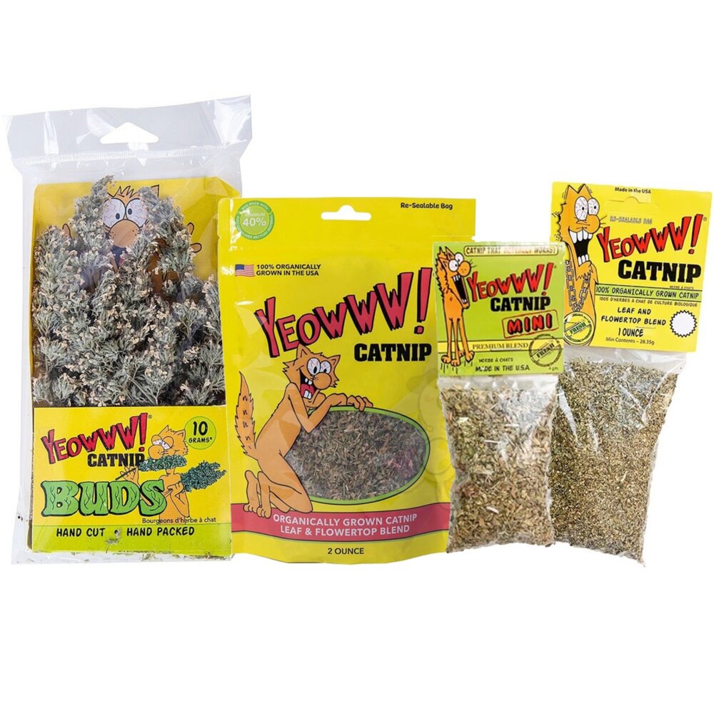 YEOWWW! 瘋狂貓 美國有機貓草 貓草 貓咪最愛 可添加在玩具上或貓抓板『WANG』-圖片-1