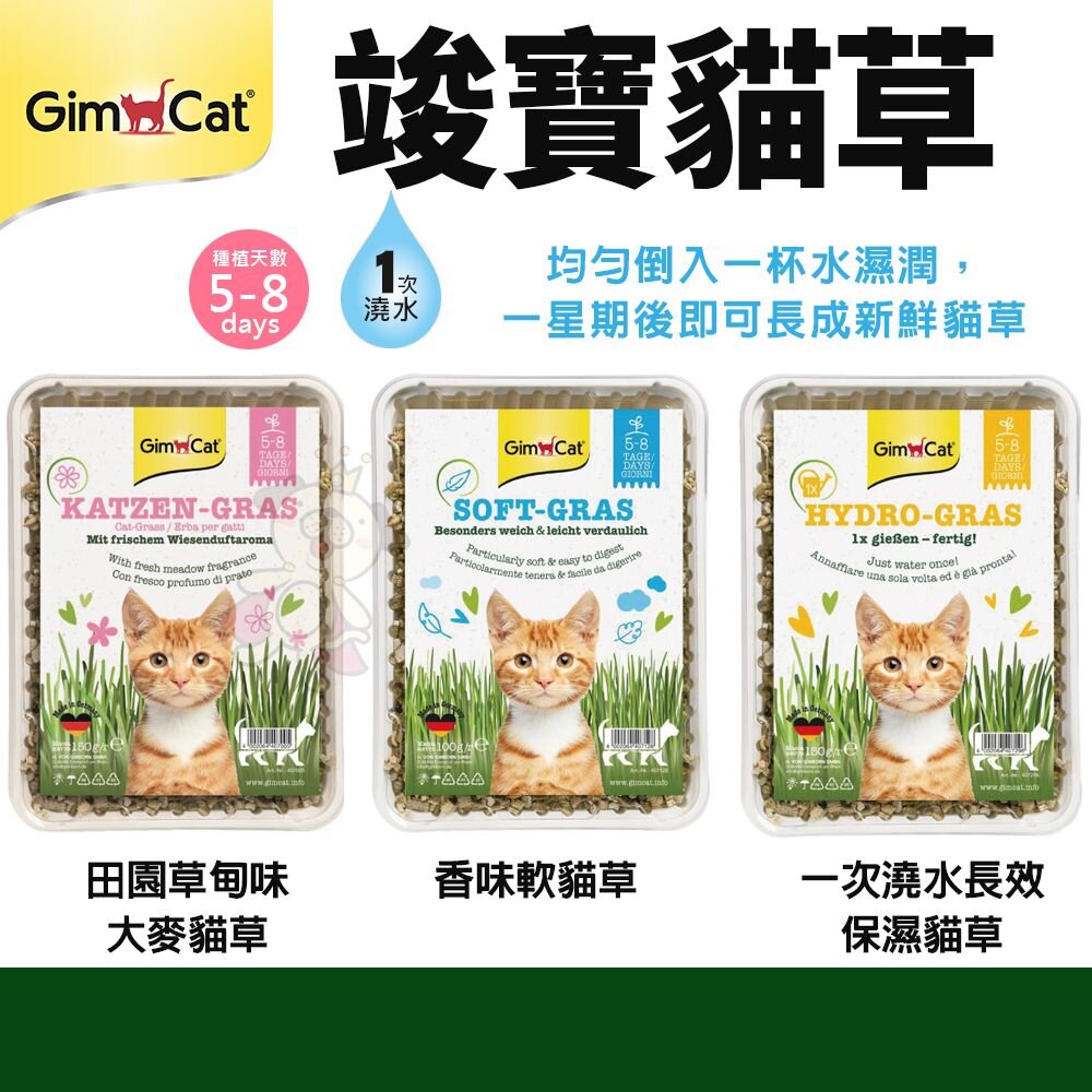 49722188-德國 竣寶 GIMBORN 軟貓草  田園草甸香大麥 一次澆水長效保濕貓草 盒裝 新鮮貓草『WANG』
