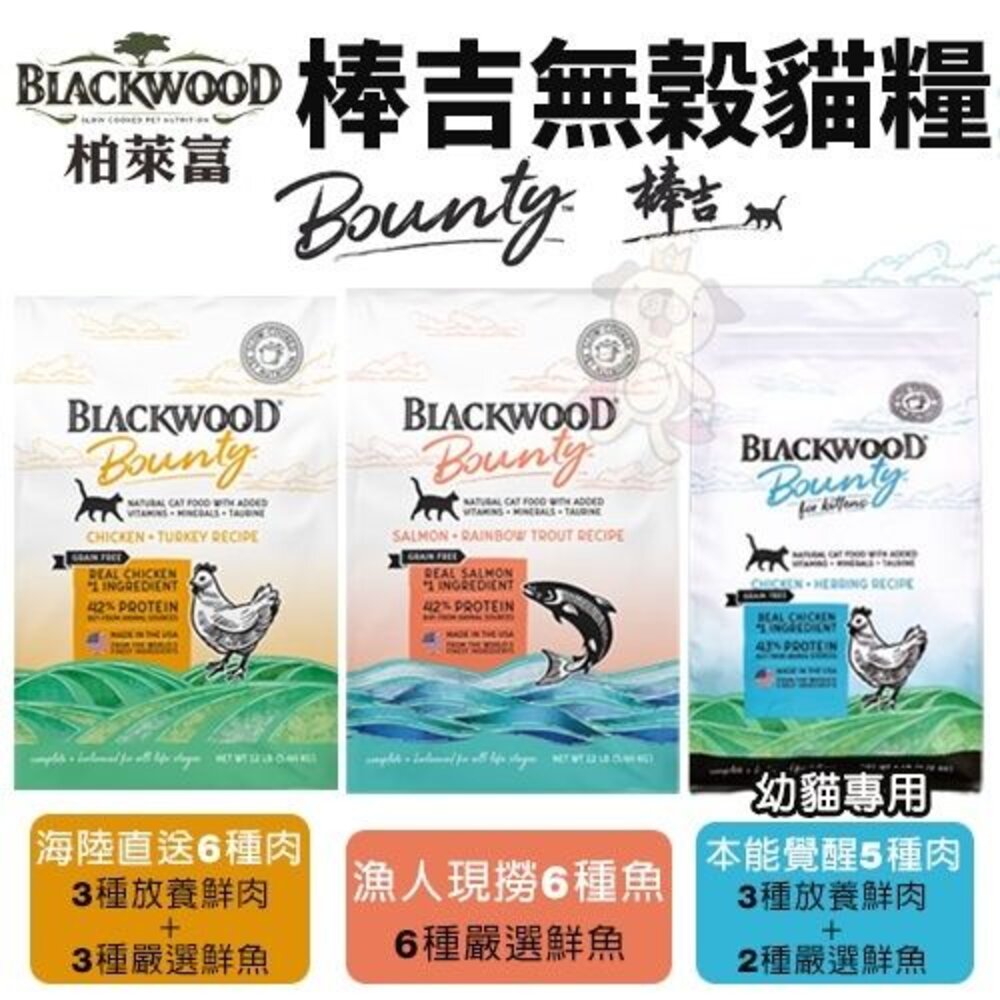 BLACKWOOD 柏萊富 棒吉無榖貓糧 300g-900g 幼貓 全齡貓 貓乾糧 貓主食 貓飼料『WANG』-圖片-4