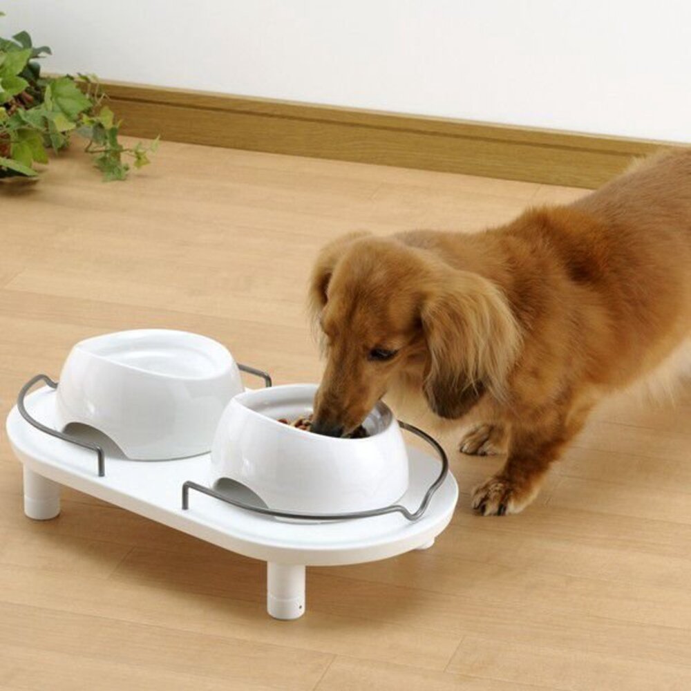 Richell 加高碗架 單碗架|雙碗架 小型犬貓用 可伸縮高度 貓餐碗 狗餐碗 原廠公司貨『WANG』-圖片-6