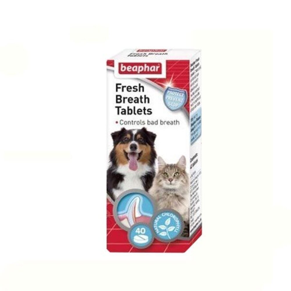 荷蘭 beaphar 樂透 犬貓牙膏 口腔清新潔牙水 幼犬訓便劑 海藻精華素 寵物牙膏『WANG』-圖片-6