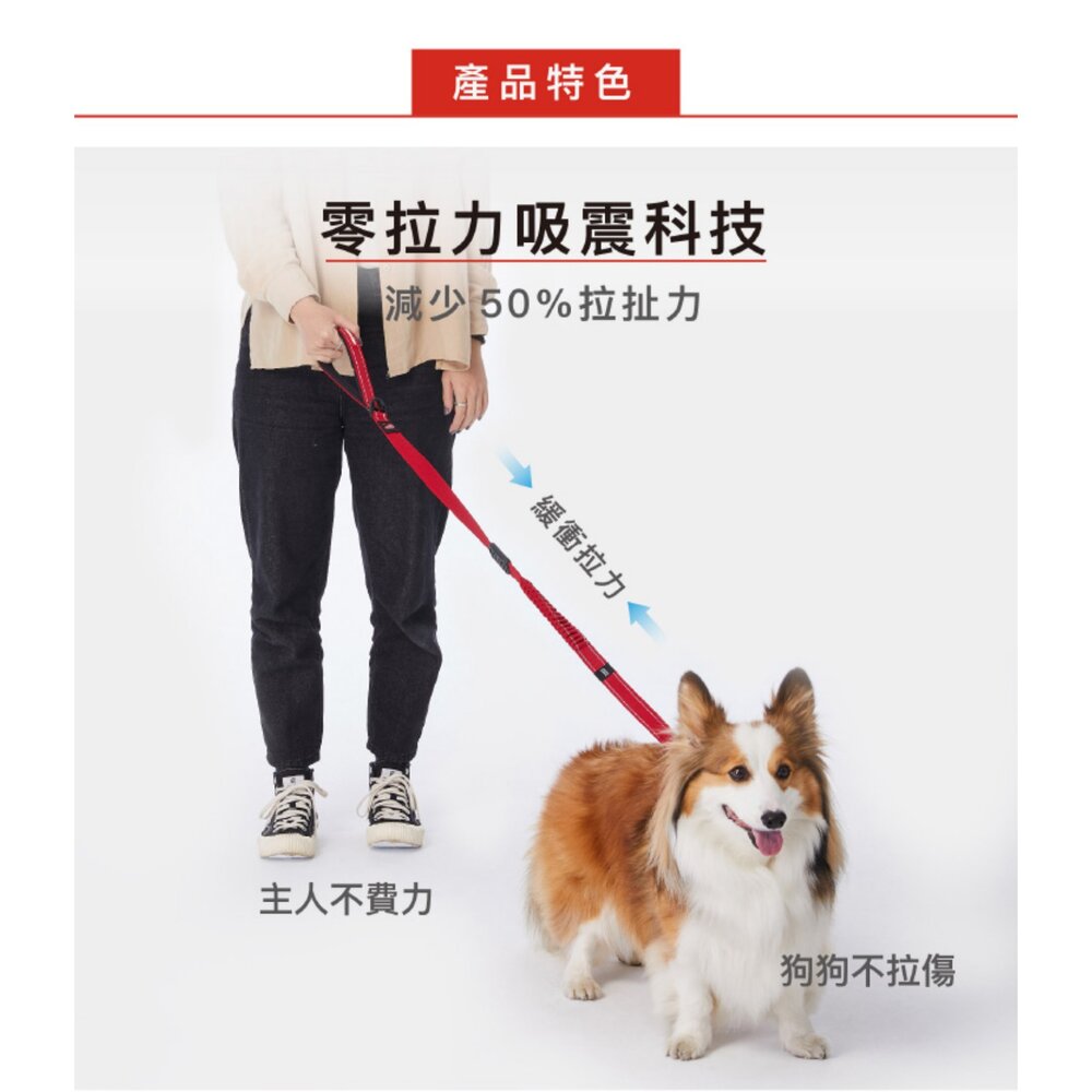 EZYDOG 零拉力牽繩 輕巧版零拉力牽繩 64公分 120公分 犬用 易清洗 寵物牽繩 外出拉繩『WANG』-圖片-2