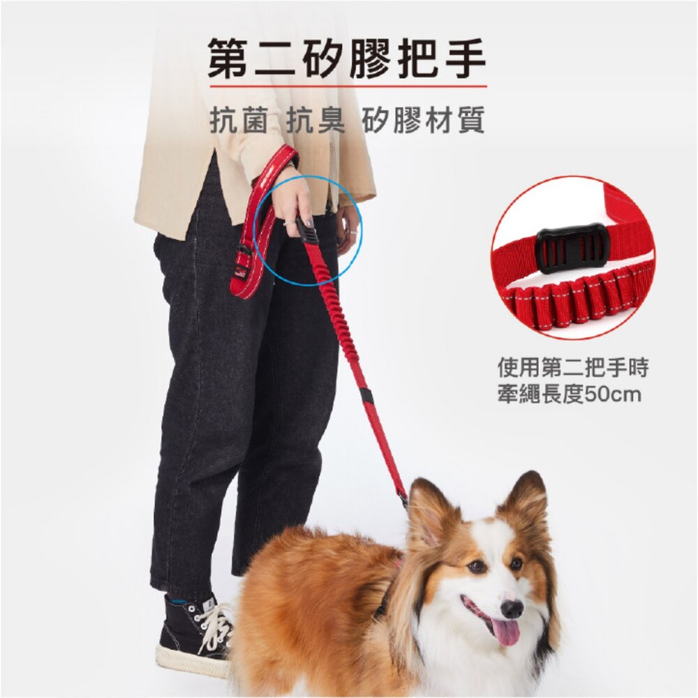 EZYDOG 零拉力牽繩 輕巧版零拉力牽繩 64公分 120公分 犬用 易清洗 寵物牽繩 外出拉繩『WANG』-圖片-4