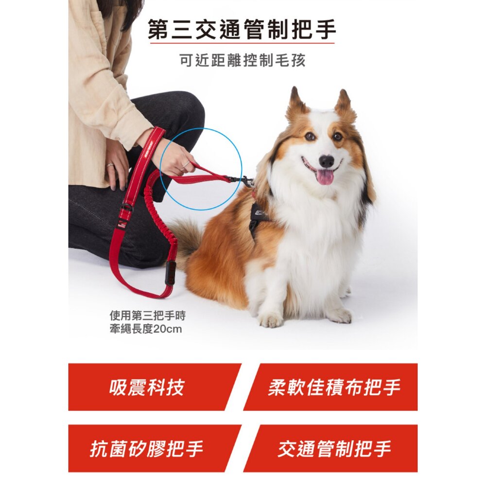 EZYDOG 零拉力牽繩 輕巧版零拉力牽繩 64公分 120公分 犬用 易清洗 寵物牽繩 外出拉繩『WANG』-圖片-5