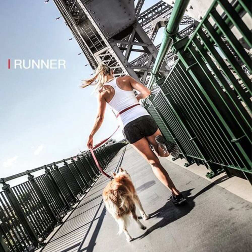 EZYDOG 牽繩系列 跑步牽繩 輕巧版跑步牽繩 零拉力牽繩 狗拉繩 犬用『WANG』-圖片-8