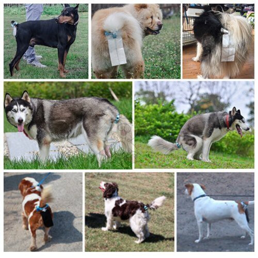 Earth Rated 莎賓 環保撿便器 第3代 (無香) 寵喵樂 便攜式接便器 不沾手接便袋 撿便器『WANG』-圖片-6