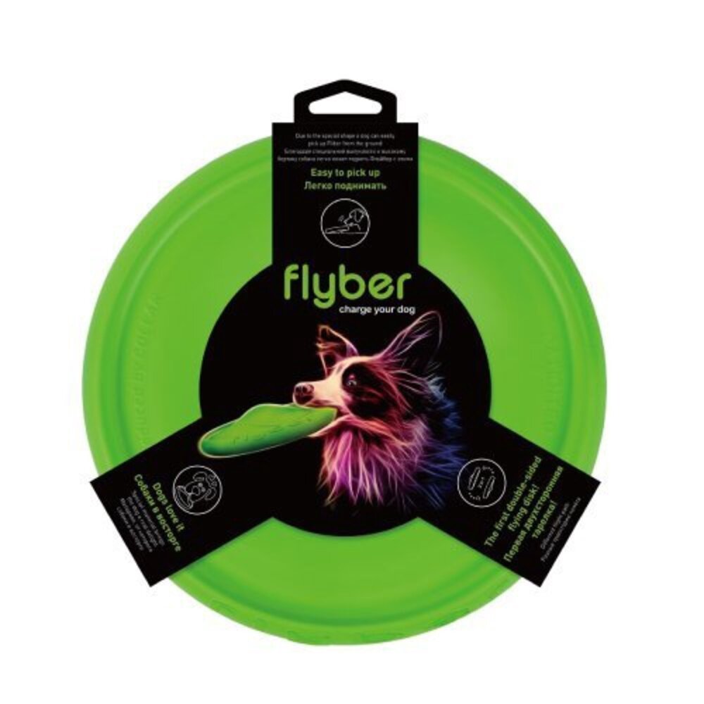 扣樂 雙面健身飛盤 寵物健身環 雙環設計 訓練寵物 犬用飛盤 狗玩具『WANG』-圖片-4