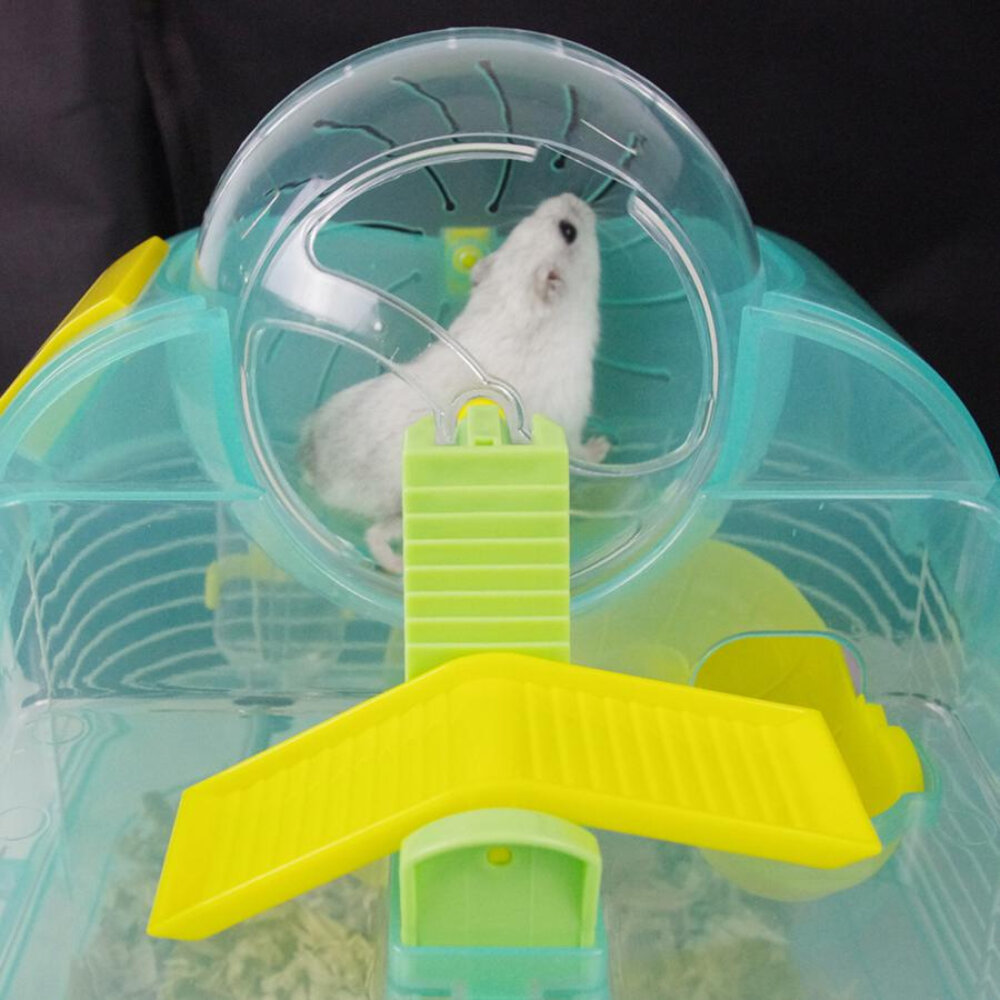 Marukan 鼠籠 MR-329|ML-222 小動物用『WANG』-圖片-3