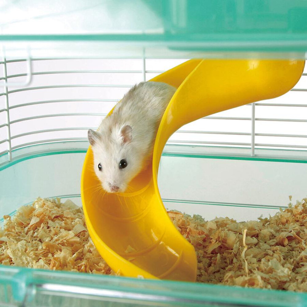 Marukan 鼠籠 MR-329|ML-222 小動物用『WANG』-圖片-4