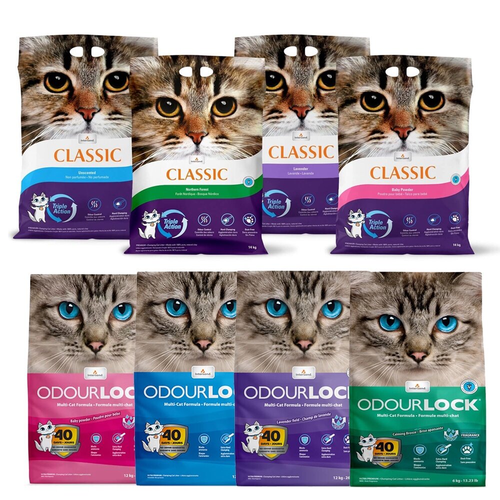 Intersand 晶鑽 貓砂7kg-14kg【免運】森林香凝結細砂 頂級白晶強力凝結細砂 貓砂『WANG』-圖片-1