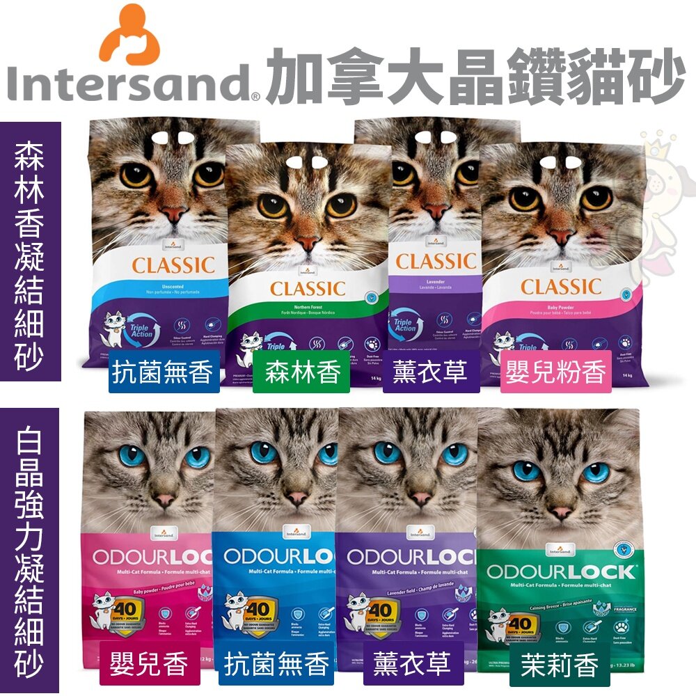 Intersand 晶鑽 貓砂7kg-14kg【免運】森林香凝結細砂 頂級白晶強力凝結細砂 貓砂『WANG』-圖片-2