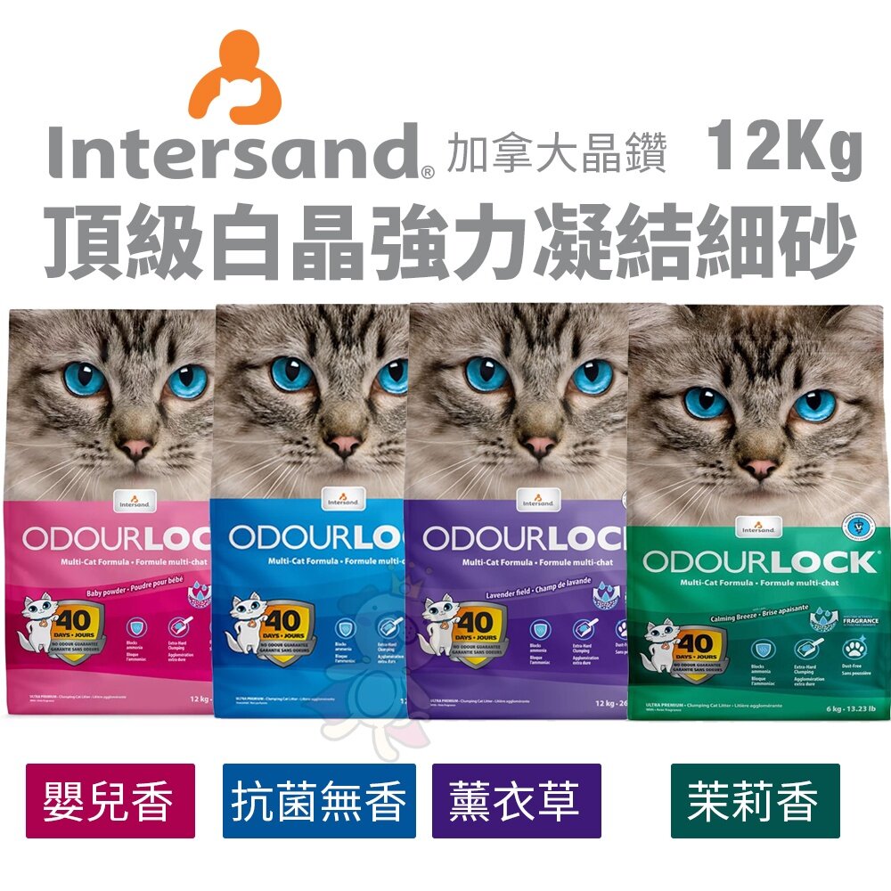 Intersand 晶鑽 貓砂7kg-14kg【免運】森林香凝結細砂 頂級白晶強力凝結細砂 貓砂『WANG』-圖片-3