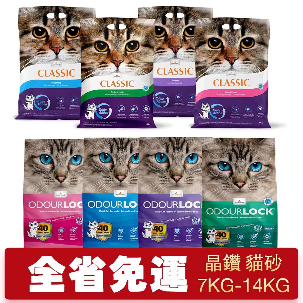 809088677-Intersand 晶鑽 貓砂7kg-14kg【免運】森林香凝結細砂 頂級白晶強力凝結細砂 貓砂『WANG』