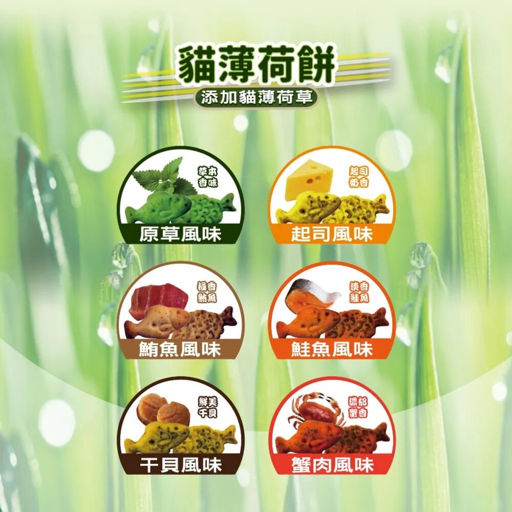 Pet Village 魔法村 驕傲貓 貓薄荷餅 100g 潔牙餅 貓薄荷 貓點心 貓零食『WANG』-圖片-4