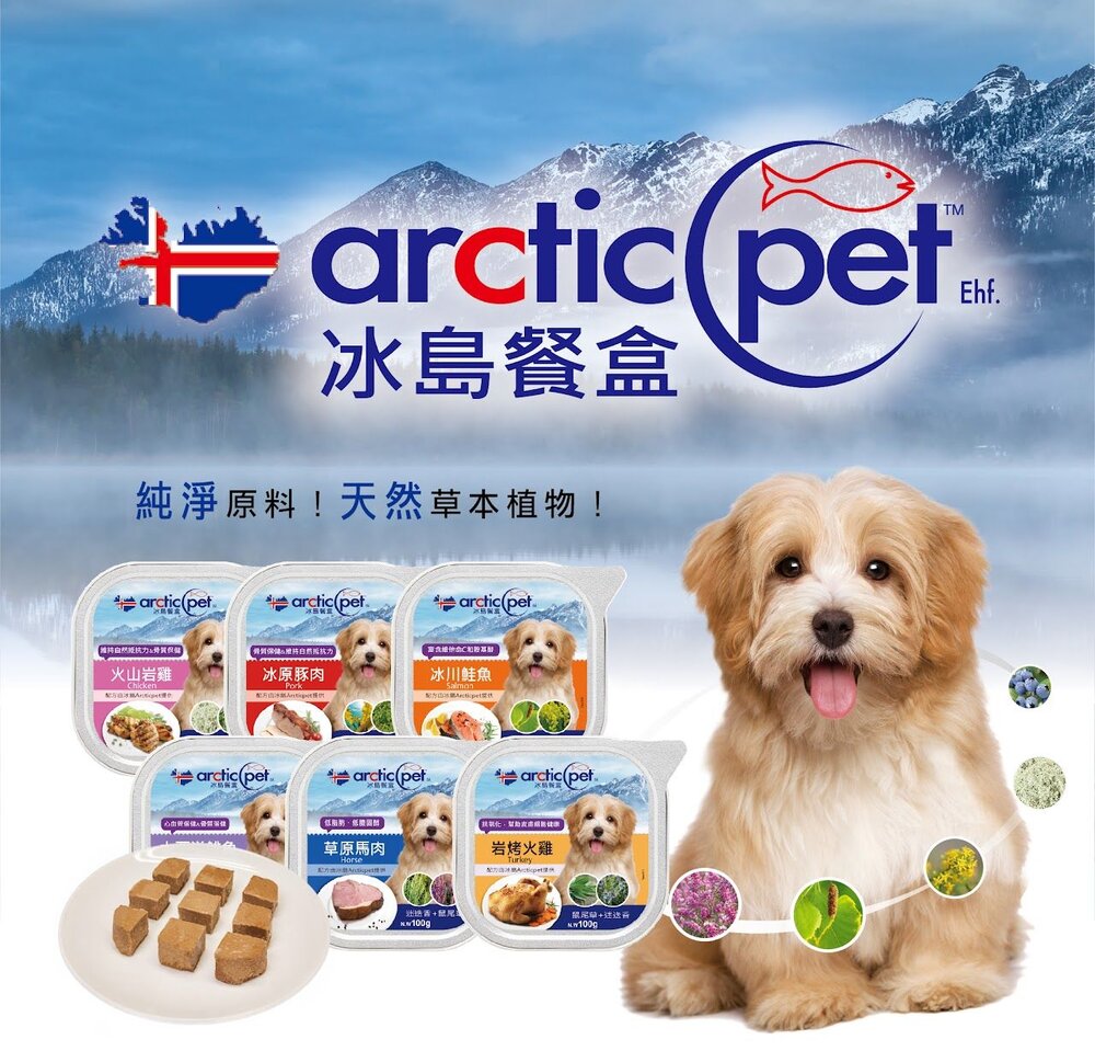 8348817872-arctic pet 冰島 狗餐盒100g【單盒】狗罐頭 狗餐盒『WANG』
