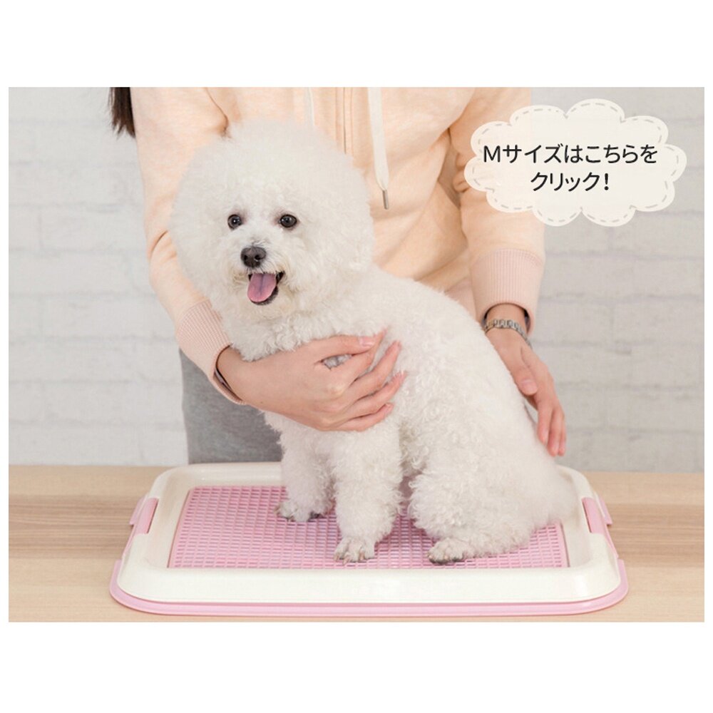 IRIS 狗便盆 TFT-495|FT-495|FMT-635|FTT-635|FMT-635|IT-500『WANG』-圖片-5