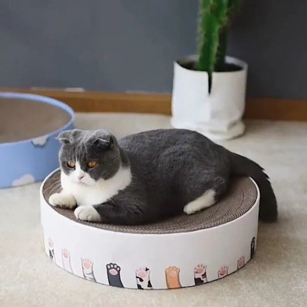 喵仙兒 圓形貓抓盆 雲朵/貓爪/綠仙人掌/大理石/水波紋/森林/木紋 耐抓 耐磨 貓抓板『WANG』-圖片-5