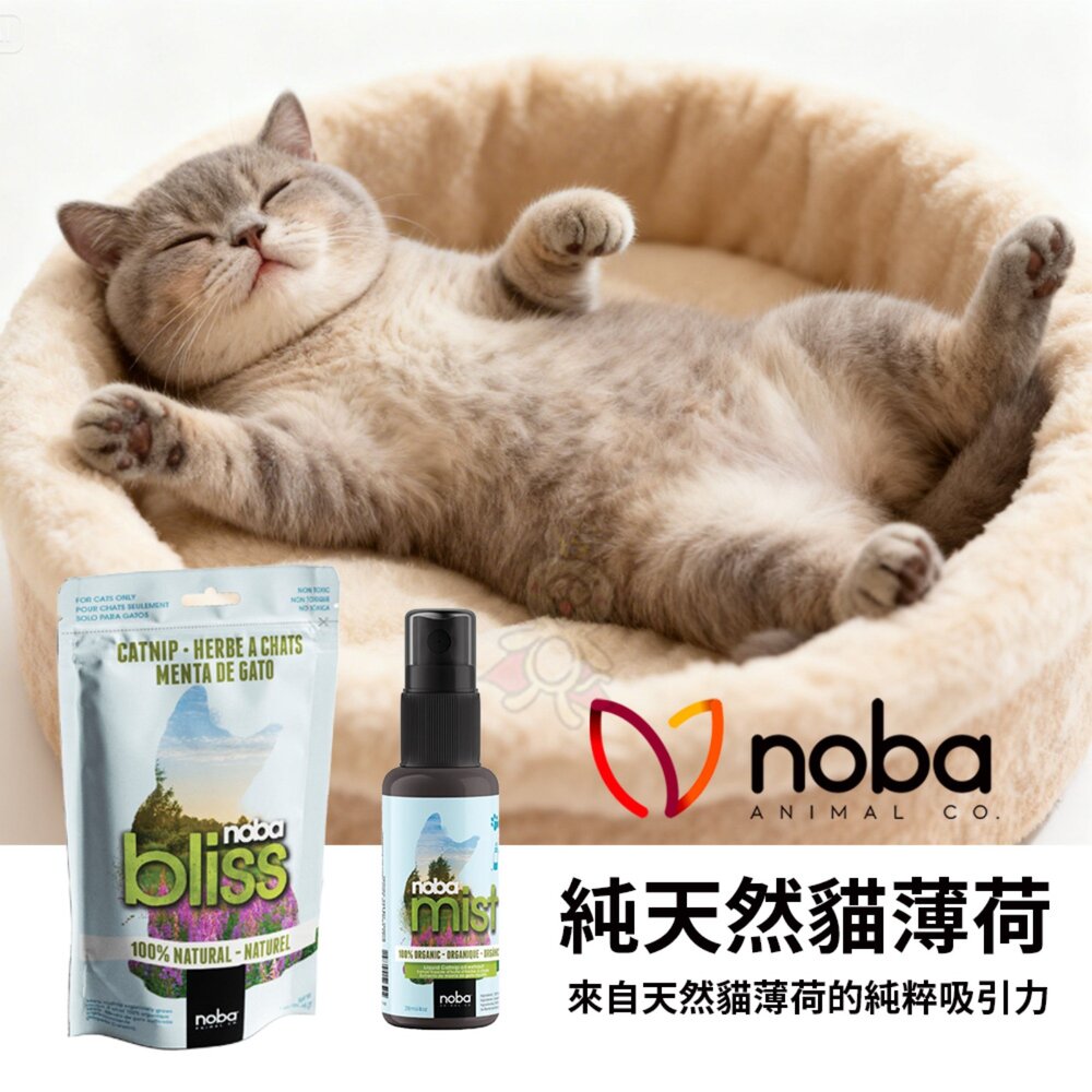 9462082984-NOBA 純天然貓薄荷/純天然貓薄荷噴霧 100% 天然的貓薄荷製成 貓抓板 玩具 貓床墊都能使用『WANG』