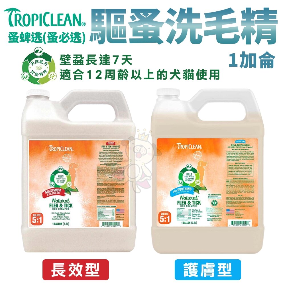 Cardinal 康蒂娜 果漾洗毛精 蚤蜱逃(蚤必逃) Dr.Rod草本精華萃取 4L 洗毛精 犬貓洗毛精『WANG』-圖片-4