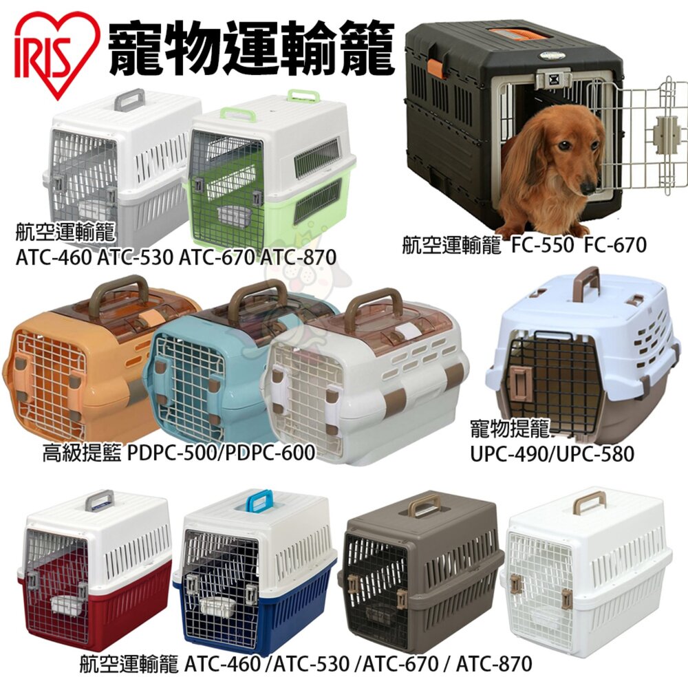 98222968-日本 IRIS 寵物提籠 航空運輸籠 高級提籃 上部可掀開 正門可拆卸 提籠 狗籠 外出籠『WANG』