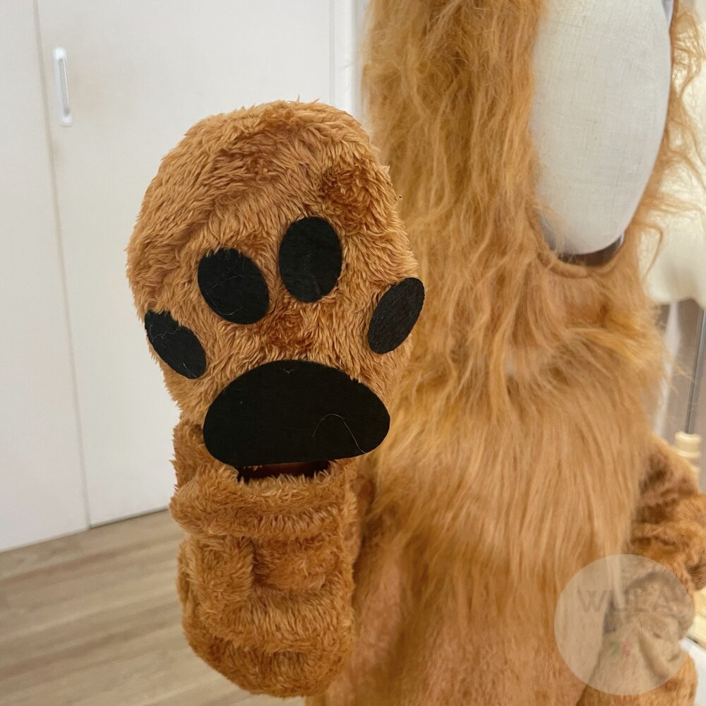 動物系列套裝-圖片-2