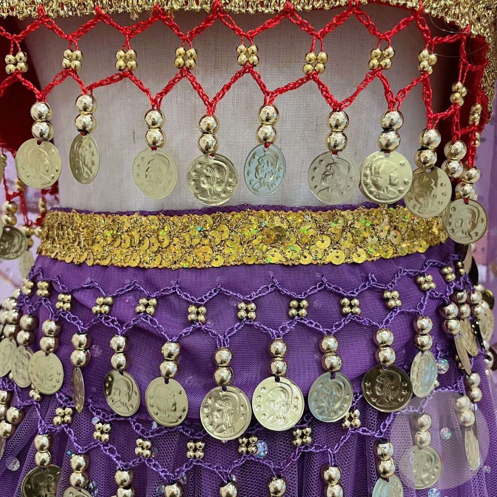 寶萊塢肚皮舞裝(成人版)-圖片-2