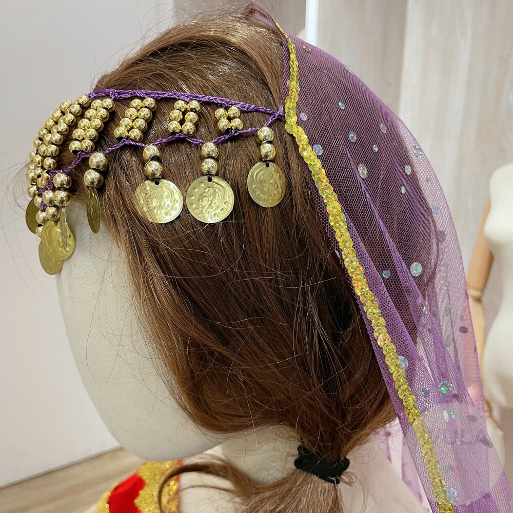 寶萊塢肚皮舞裝(成人版)-圖片-8